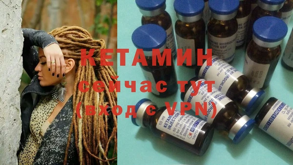 гидра Заводоуковск