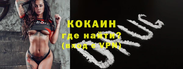 гидра Заводоуковск