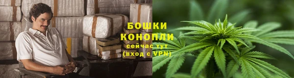 гидра Заводоуковск