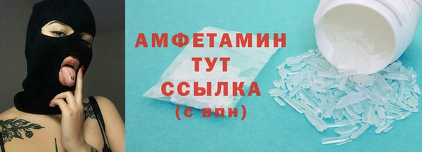 гидра Заводоуковск