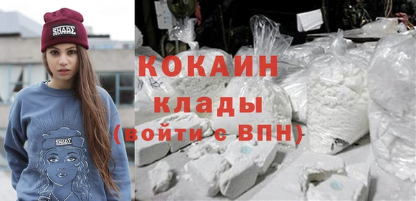 гидра Заводоуковск