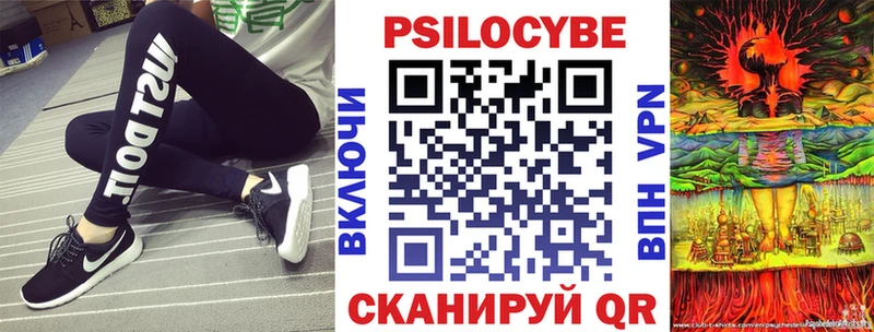 Псилоцибиновые грибы Psilocybe  Купить где  Задонск 